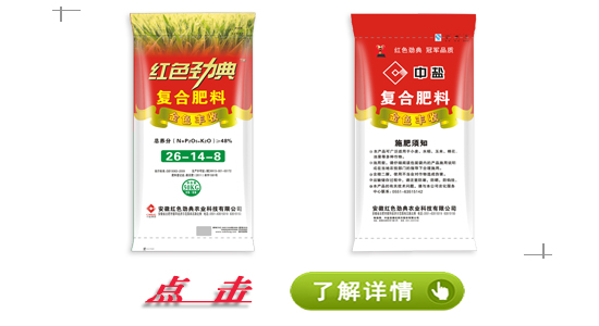在线麻豆兔子九一麻豆国产精品无码